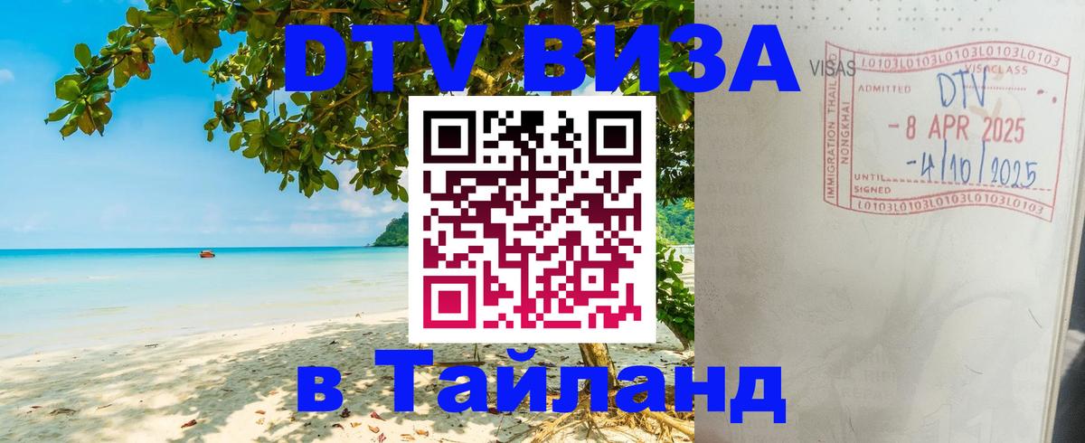 Оформление DTV визы под ключ: стоимость и тарифы, только загранпаспорт - Подольск 